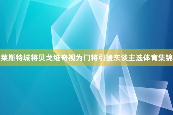 莱斯特城将贝戈维奇视为门将引援东谈主选体育集锦