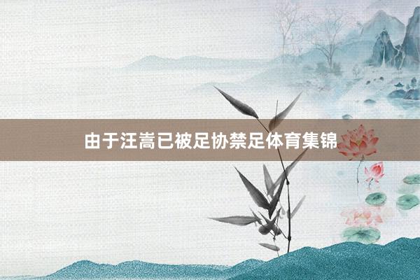 由于汪嵩已被足协禁足体育集锦