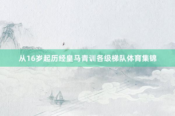 从16岁起历经皇马青训各级梯队体育集锦