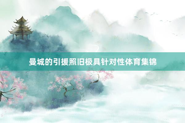 曼城的引援照旧极具针对性体育集锦