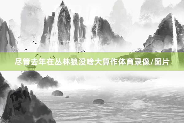 尽管去年在丛林狼没啥大算作体育录像/图片