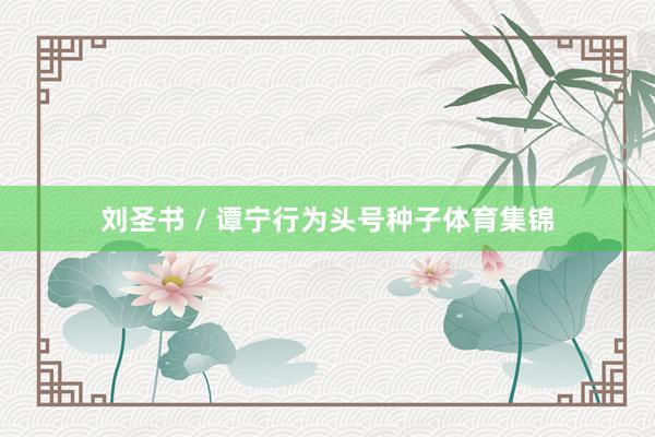 刘圣书 / 谭宁行为头号种子体育集锦