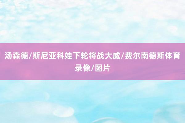汤森德/斯尼亚科娃下轮将战大威/费尔南德斯体育录像/图片