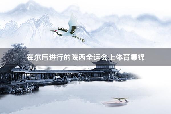 在尔后进行的陕西全运会上体育集锦