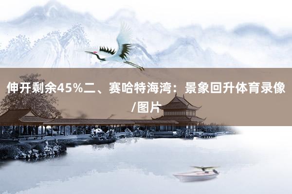 伸开剩余45%二、赛哈特海湾：景象回升体育录像/图片