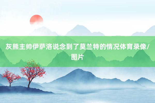 灰熊主帅伊萨洛说念到了莫兰特的情况体育录像/图片