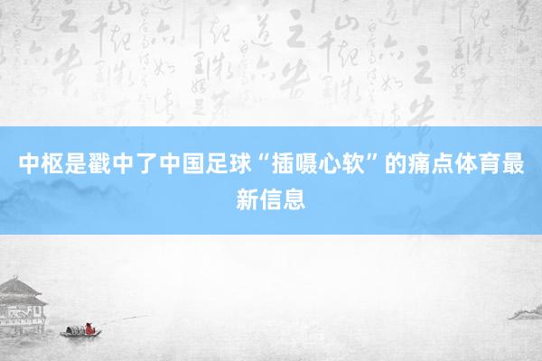 中枢是戳中了中国足球“插嗫心软”的痛点体育最新信息