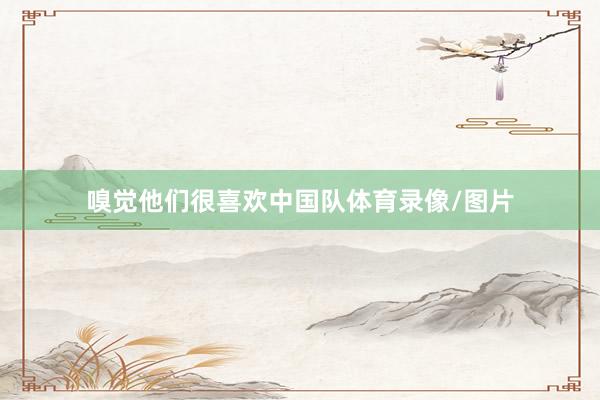 嗅觉他们很喜欢中国队体育录像/图片