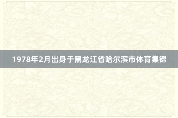 1978年2月出身于黑龙江省哈尔滨市体育集锦