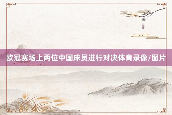 欧冠赛场上两位中国球员进行对决体育录像/图片