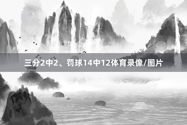 三分2中2、罚球14中12体育录像/图片