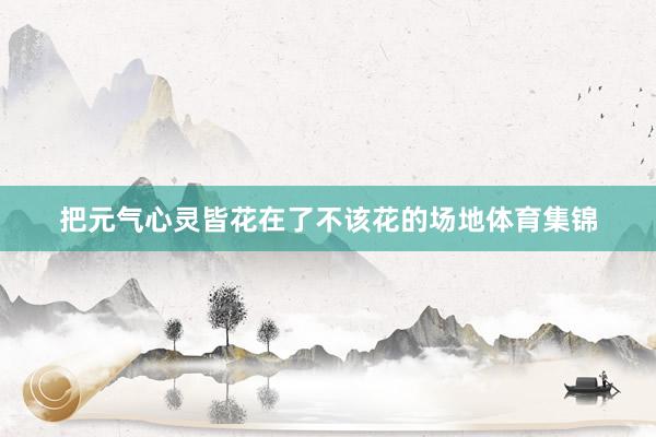 把元气心灵皆花在了不该花的场地体育集锦