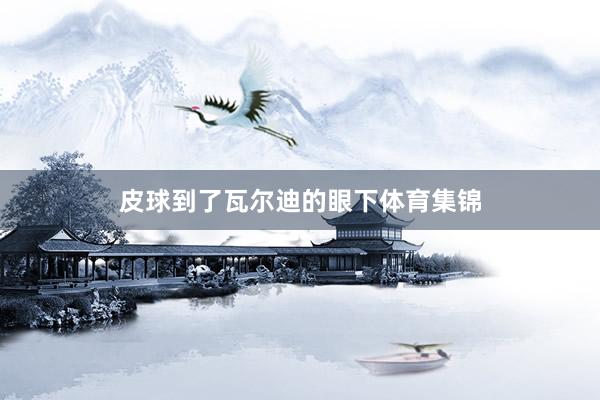 皮球到了瓦尔迪的眼下体育集锦