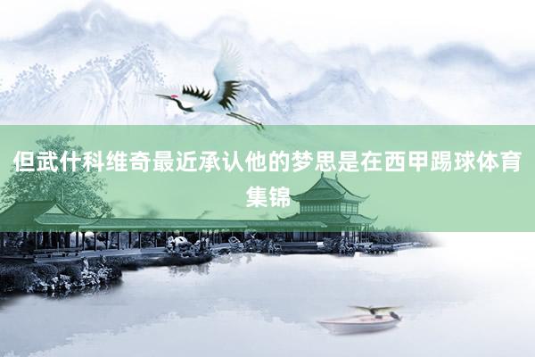 但武什科维奇最近承认他的梦思是在西甲踢球体育集锦