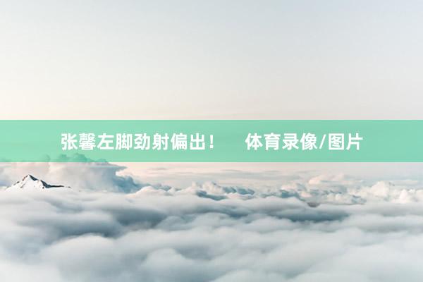 张馨左脚劲射偏出！    体育录像/图片