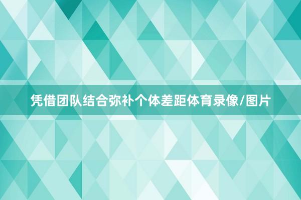 凭借团队结合弥补个体差距体育录像/图片