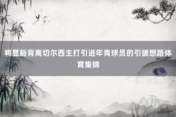 将显豁背离切尔西主打引进年青球员的引援想路体育集锦