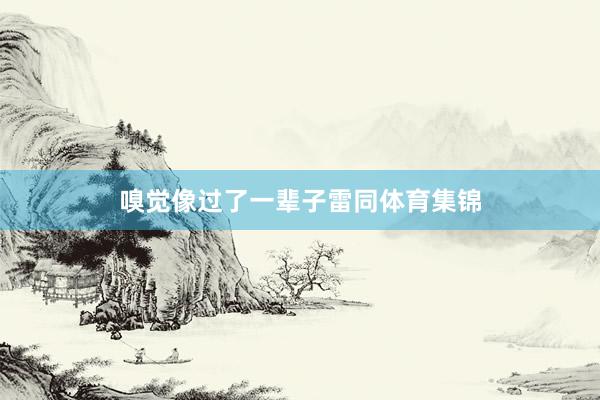嗅觉像过了一辈子雷同体育集锦