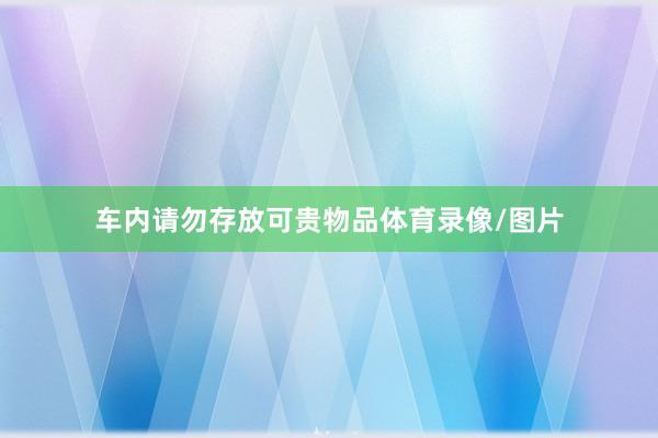 车内请勿存放可贵物品体育录像/图片