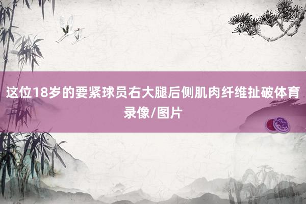 这位18岁的要紧球员右大腿后侧肌肉纤维扯破体育录像/图片
