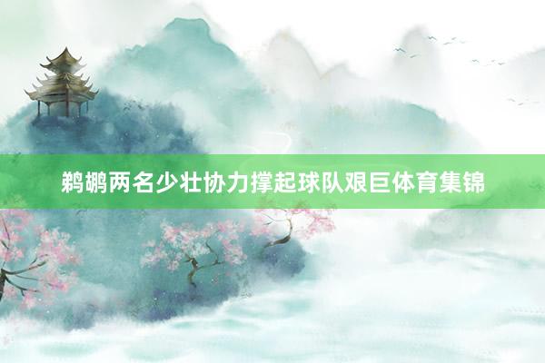 鹈鹕两名少壮协力撑起球队艰巨体育集锦