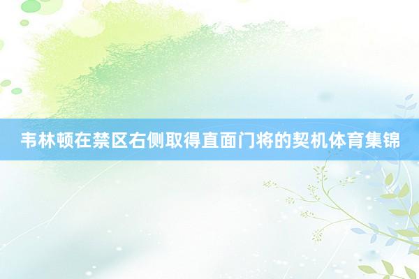 韦林顿在禁区右侧取得直面门将的契机体育集锦