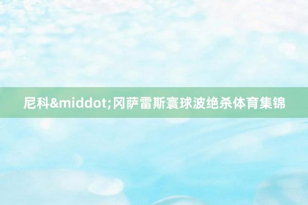 尼科&middot;冈萨雷斯寰球波绝杀体育集锦