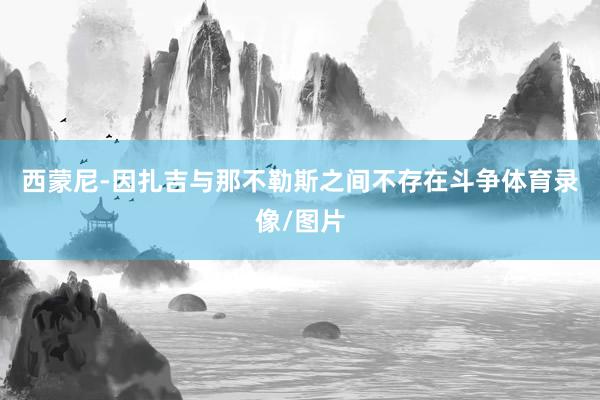 西蒙尼-因扎吉与那不勒斯之间不存在斗争体育录像/图片
