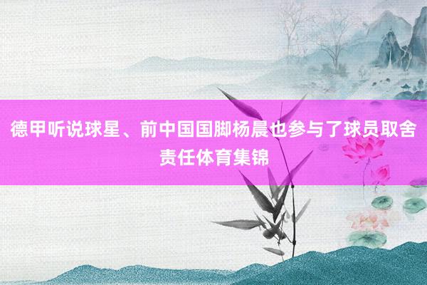 德甲听说球星、前中国国脚杨晨也参与了球员取舍责任体育集锦