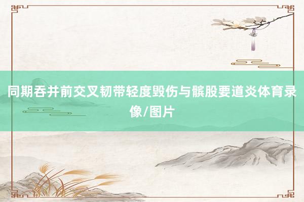 同期吞并前交叉韧带轻度毁伤与髌股要道炎体育录像/图片