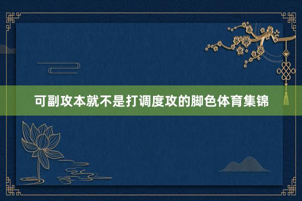 可副攻本就不是打调度攻的脚色体育集锦