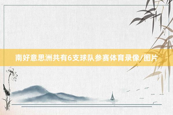 南好意思洲共有6支球队参赛体育录像/图片