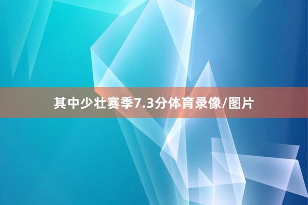 其中少壮赛季7.3分体育录像/图片