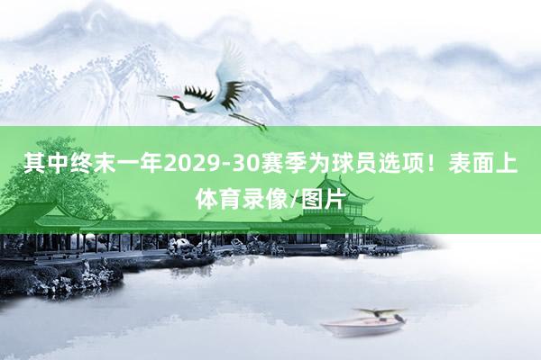 其中终末一年2029-30赛季为球员选项！表面上体育录像/图片
